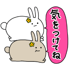 Yuki and Huwari, good friends rabbits.