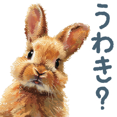 mentally sick rabbit usagi