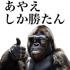 [Ayae] Funny Gorilla stamps to send