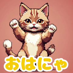 Cat's greeting 8 bits