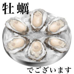 oyster 13