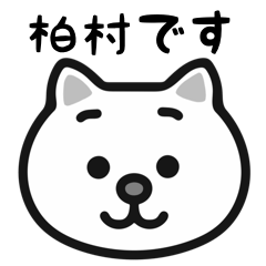 Kashimura white cats sticker