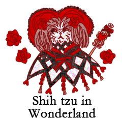 Alice in Wonderland with Shih Tzu