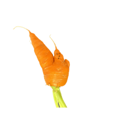 Stupid Carrots