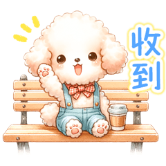 Toy poodles every day(tw)
