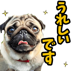 Improved honorific language for dogs