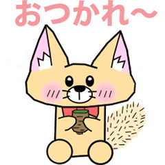 Daily life of fennec fox and cat