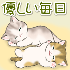 Roundish and cute kittens 7