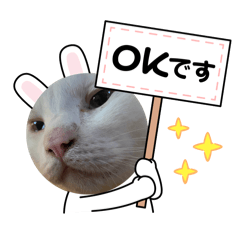 SAKURA_20240329155441