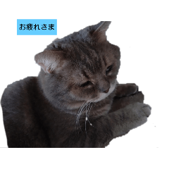 wwwww_20240329185717