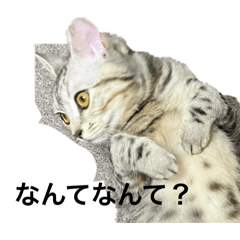 kaibo_20240329210401