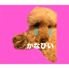 sakura_20240330132906