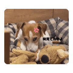 tomo_20240330112011