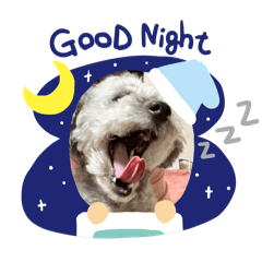 yuka_20240329222032