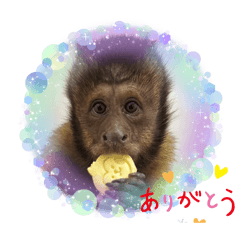 Georgeくん