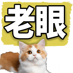 老眼でも見えるデカ文字にゃんこ