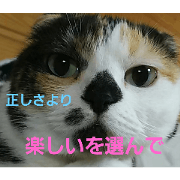 SakuragiHaruko_20240330050246