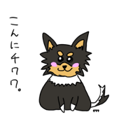 onnu_20240330165044