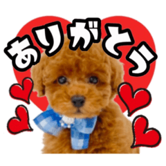 Kchan_20240113122715