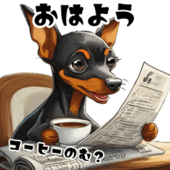 Cute Pinscher for everyday use