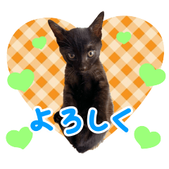 Kaachan family(Cat) Sticker