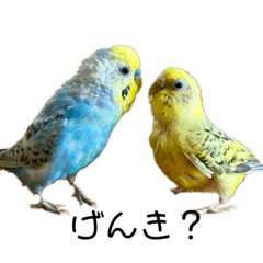 sakura_20240330181611