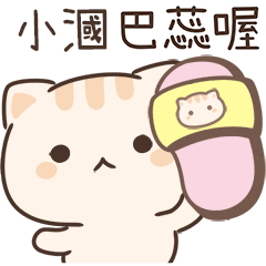 Star_Cat1_02818_SIAO GUO