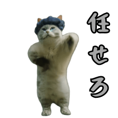 動く！踊る猫ミーム！(パート5)