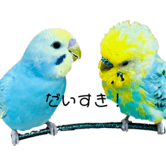 sakura_20240330155954