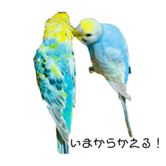 sakura_20240330182121