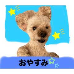 sakura_20240330185554