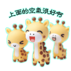 giraffe lovely