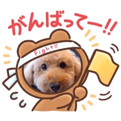 CHIKUWA_toypoodles