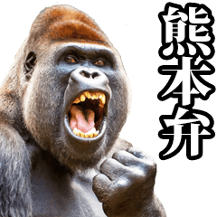 Gorilla in Kumamoto dialect