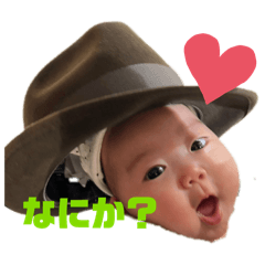 napi_20240331002142