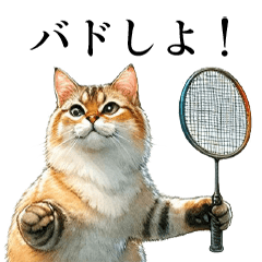 Badminton-loving cats