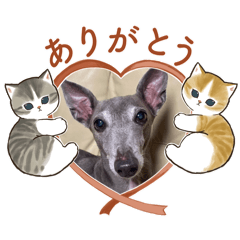 Sakura_20240331073320