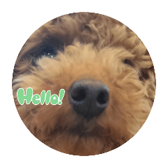 mochi!_20240331131357