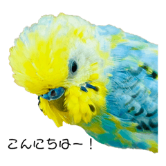 sakura_20240331111718