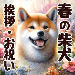 Spring Flowers and Shiba Dogs Greeting