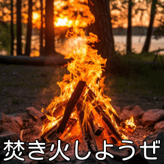 Let's have a bonfire.