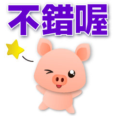 可愛豬--開心實用