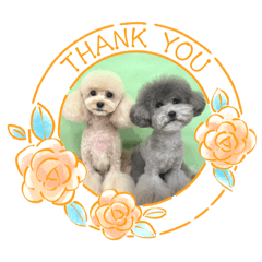 RION&ARICE_20240331215700