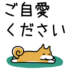 柴犬さんの日本語会話