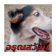 9chay_20240401065417