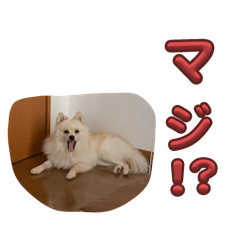 lotty_20240401120454