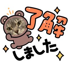 SAkURA_20240331213622