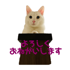 legoapollo_20240331222031