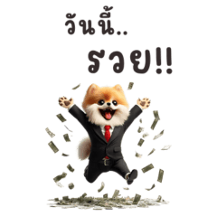 Pomeranian salaryman