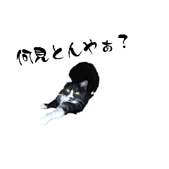 tanakakouga_20240401012205